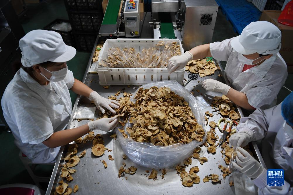 云顶娱乐官方下载1.8.0